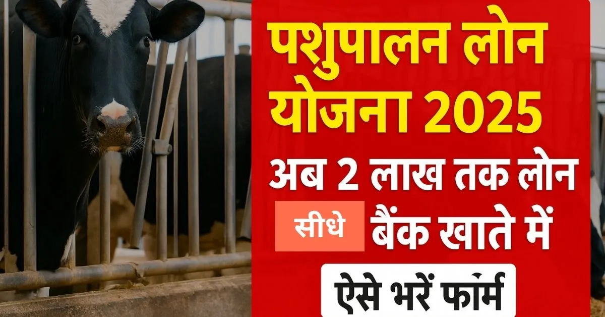 Pashupalan Loan Yojana 2025: पाएं ₹2 लाख का लोन सीधे बैंक खाते में, ऐसे करें आवेदन!
