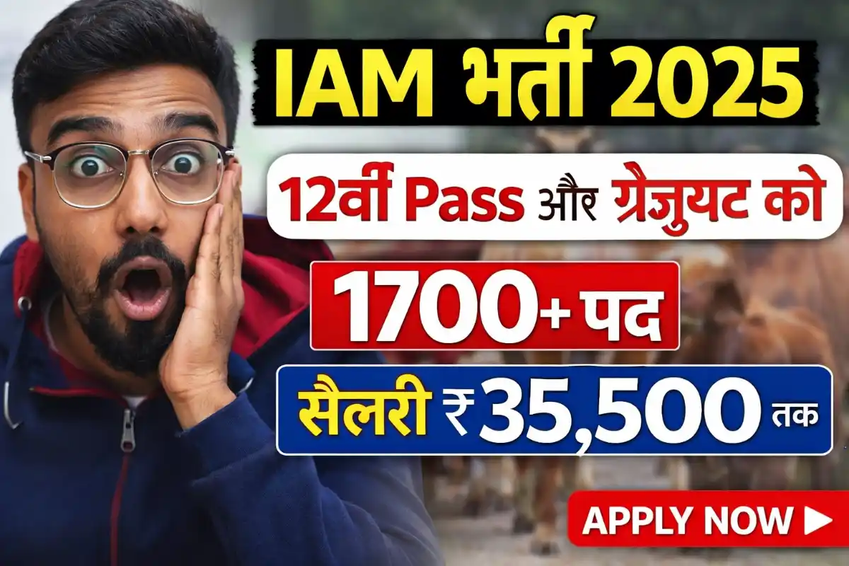 IAM Recruitment 2025: 12वीं पास और ग्रेजुएट के लिए 1700+ पद, सैलरी ₹35,500